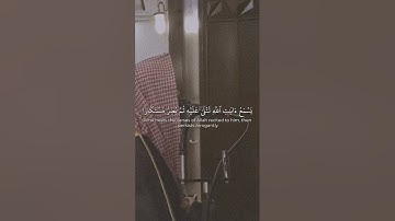 وَيْلٌ لِكُلِّ أَفَّاكٍ أَثِيمٍ |سورة الجاثية| محمد اللحيدان