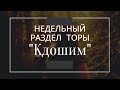 Недельный раздел Торы &quot;Кдошим&quot;