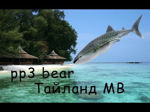 Тайланд русская рыбалка bear низкие цены на отдых