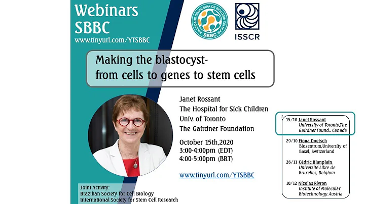 Making the blastocyst : from cells to genes to ste...