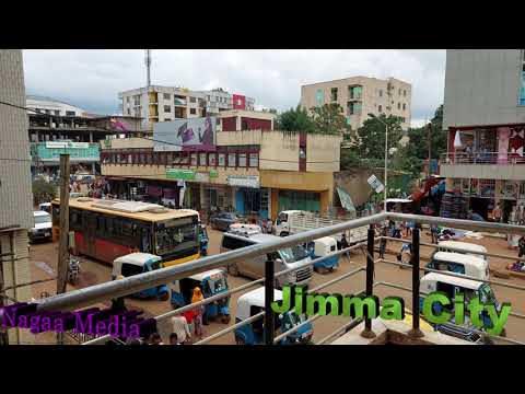 Most Beautiful Places to Visit | Travel Guide  #Jimmaa Daawwadhaa  #oromia #tour #ethiopia #jimma ጅማ