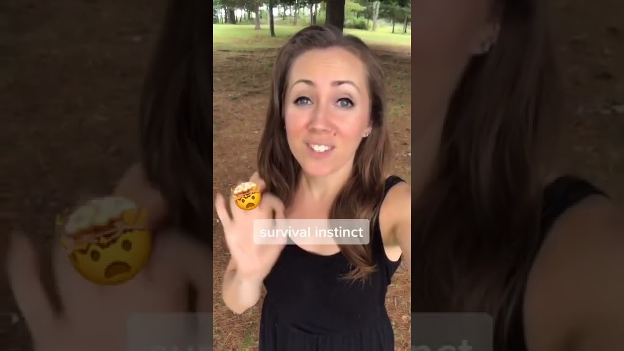 Psychological Facts No One Knows   TikTok  @coachlisy