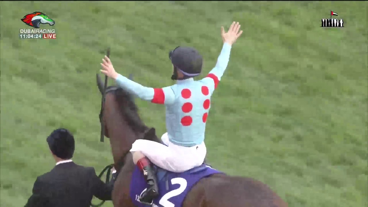 2020年 ジャパンカップ　現地購入　アーモンドアイ 2020 Japan Cup (GⅠ) | Almond Eye | JRA Official - YouTube