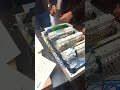 Конкурс складання щитків.#конкурс#електрик#електрики#щбіркащита