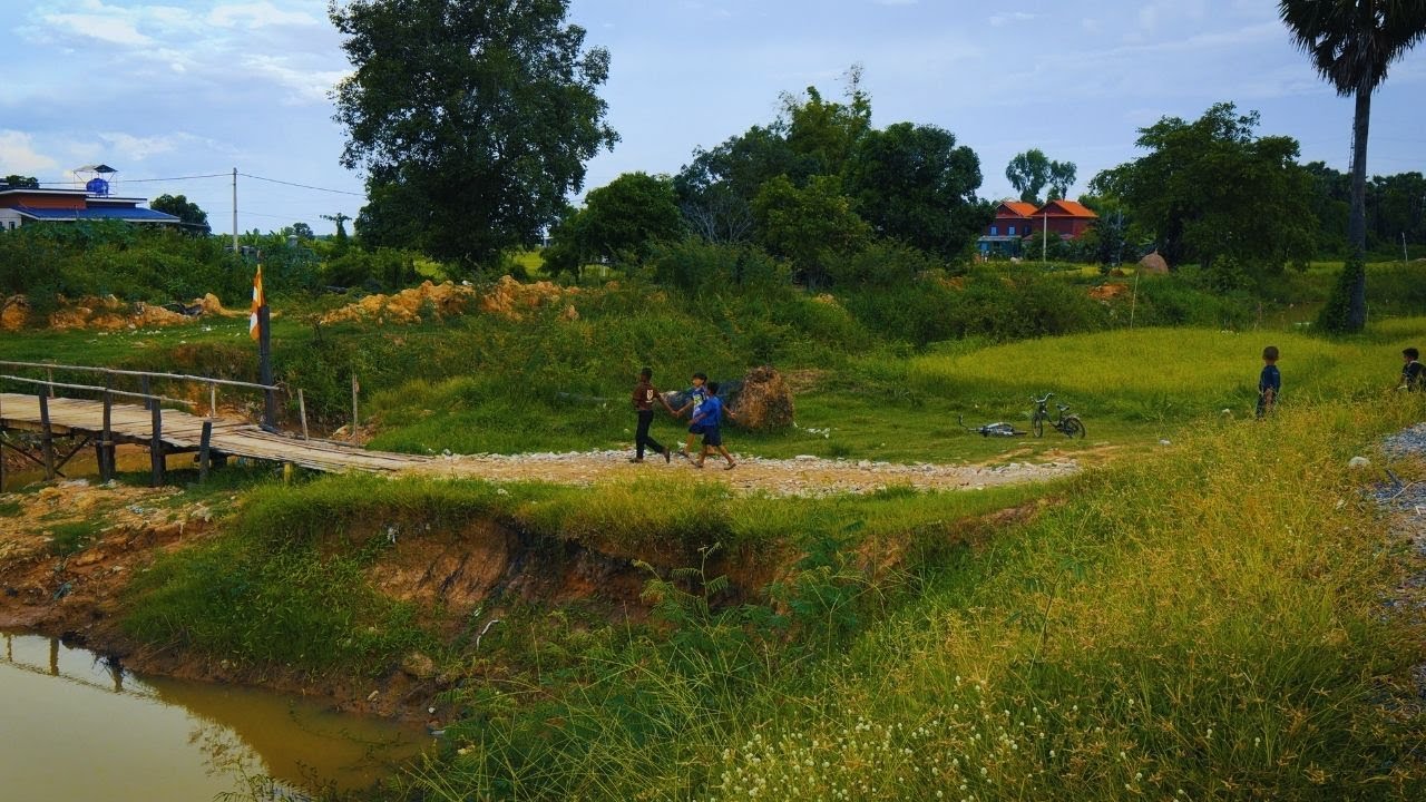 sony zv e10 mark ii sigma 30mm footage | field