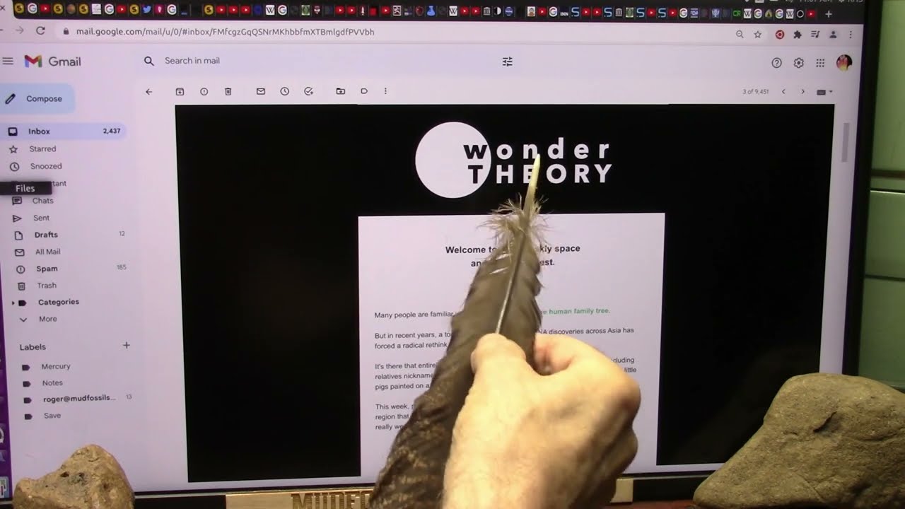 Is Wonder Theory and Mudfossil Truth in Conflict