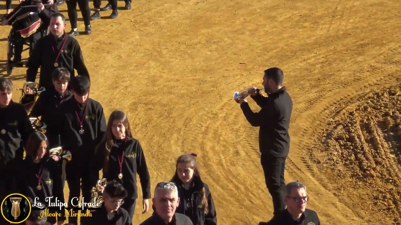 [4K] Columna en el Certamen de Bandas de Cabecera Úbeda 2025 - Plaza de Toros