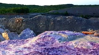 Rockhounding Fluorite Cave in Rock Illinois