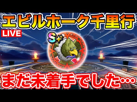 【ドラクエウォーク】エビルホーク千里だけ忘れていたので終わらせます!!【DQW】