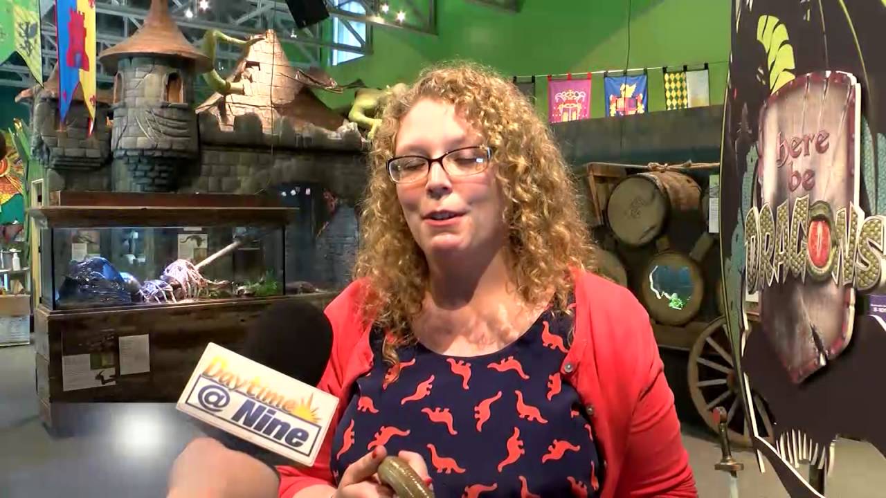 KGBT TV Segment 7 YouTube