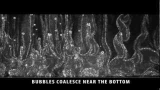 Inside a kettle (Hele-Shaw cell heated from below)