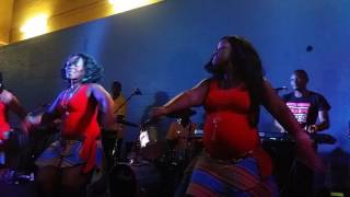 Dalom Kids Live in Dunstable 2