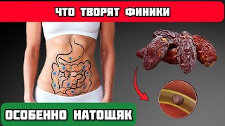 Что произойдёт, если есть финики натощак? Чудо-свойства фиников.