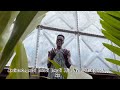 AMINATA Incredible JJ Visualizer 