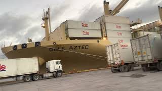 Dole maya loading containers port Castilla