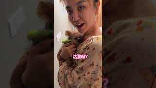 好可爱呀小鼻嘎,家里的新成员! #万宁与晚安 #搞笑#情侣#shorts