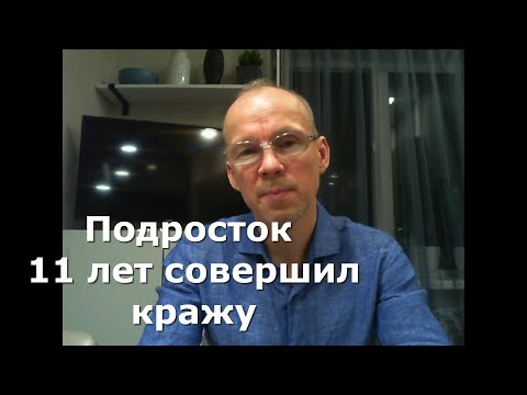 Иж Адвокат Пастухов. Какая ответственность грозит, если подросток 11 лет совершил кражу.