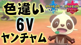 色違い6ｖヤンチャム ポケットモンスターソード シールド 4 剣盾 マジカル交換 Youtube