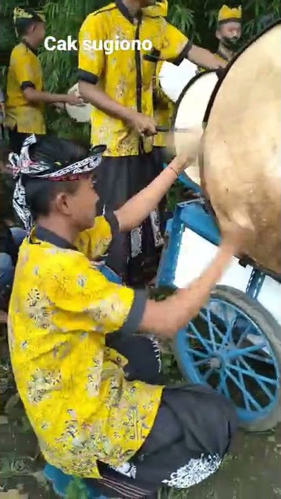 Terbang kuntulan!!Joyo Mulyo pendarungan#shorts