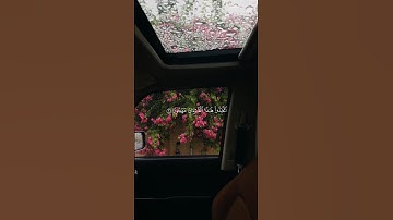 القارئ عبدالرحمن مسعد ـ أكتب شيء تؤجر عليه