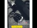 حاله واتس جامده سيب اللي سابك