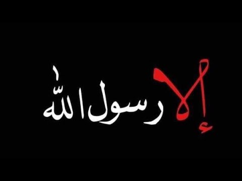 الدكتور محمود شعبان و الدفاع عن النبي ﷺ لمن يباع الدين الأن 
