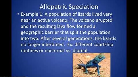 Speciation Note Video Part 1