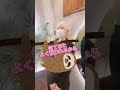 りり香に新しい仲間が加わりました！#アルビノ#インフルエンサー#マネージャー