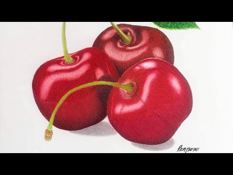 How to draw Cherries step by step | Renj Art Studio