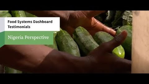 Food Systems Dashboard Country Perspectives: Nigeria