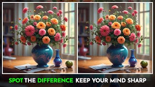 Find The Differences, A Fun Way To Train Memory And Concentration!