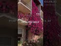 Youtube New Viral 