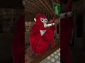 Estos son los COMENTARIOS más GRACIOSOS #gorillatag #vr #español #humor