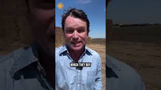 Texas farm feels impacts of rising fuel prices #shorts