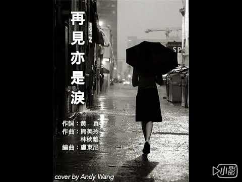 譚詠麟 - 再見亦是淚 Gặp nhau nữa vẫn là nước mắt (COVER)