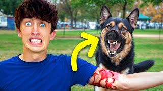 I got attacked by a dog! by LOL Podcast  227,796 views 1 month ago 46 minutes