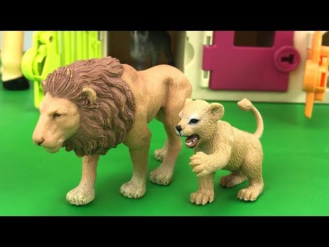 Critter Clinic Vet Animal Hospital Cage Keys/Learn Colors/injured Wild Zoo Animals/Animal Planet