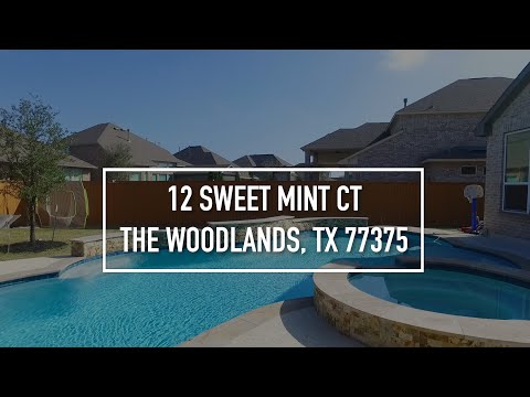 12 Sweet Mint Ct, The Woodlands, TX home video tour