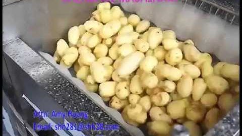 Máy rửa khoai tây, khoai lang, cà rốt, gừng...LH 0962.701.628