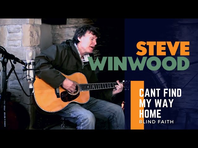 Steve Winwood - Steve Winwood