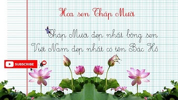 Chèn vở 4 ô ly, viết chữ và trang trí Slide PowerPoint