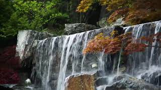 251,047 Stock Videos and Royalty Free Footage   iStock 3 screenshot 5