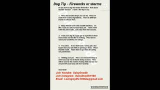 Dog Tip - Fireworks & Thunderstorms