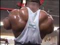 IFBB Pro bodybuilder Johnnie Jackson workout