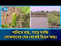 লোকসানের ঘের আজ দ্বিগুণ লাভের মাঠ ! Fish Farming | Success Story | Rtv News