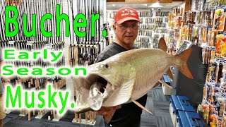 Joe Bucher. Early Season Musky.