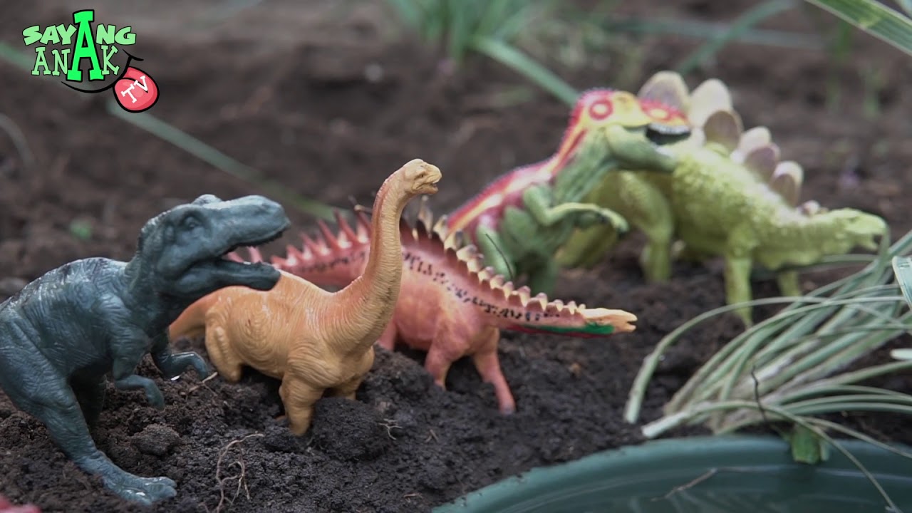 Looking for Dinosaurus  mencari Dinosaurus  mainan anak  