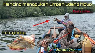 Memancing ikan menggunakan umpan udang hidup || agar mudah dapat ikan screenshot 5