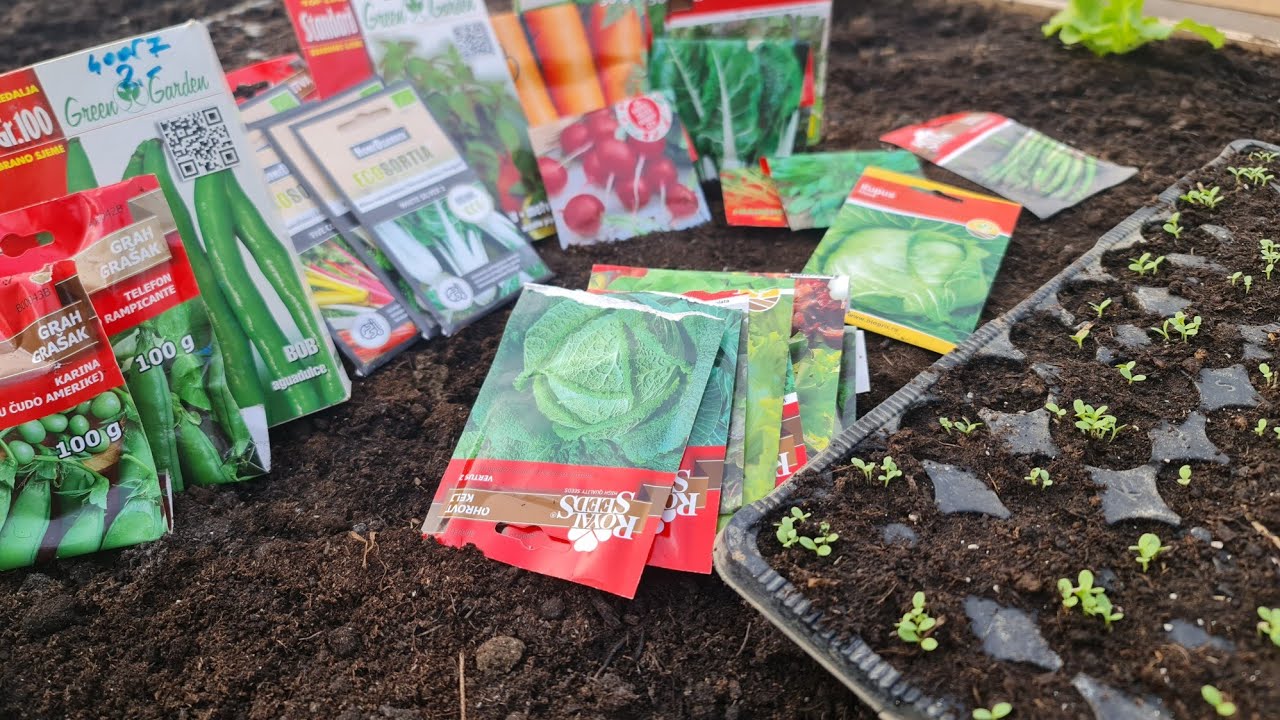 Посейте эти растения до конца января, чтобы получить ранний урожай!