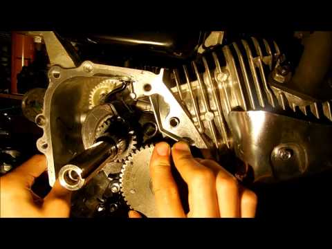 Video: Este clona Honda Predator Engine A?